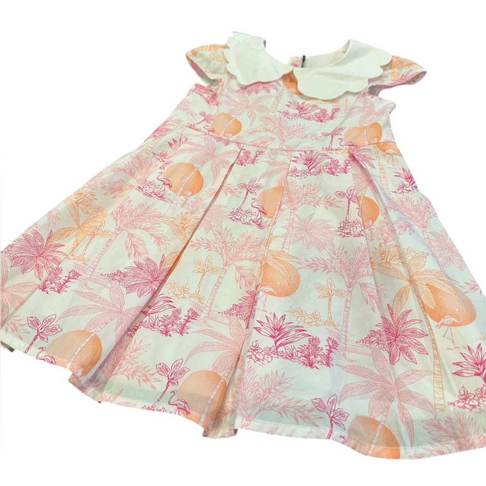 Janie and Jack Pink and Orange Floral Dress